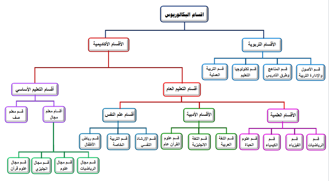 الهيكل التنظيمي لأقسام كـلية التربية